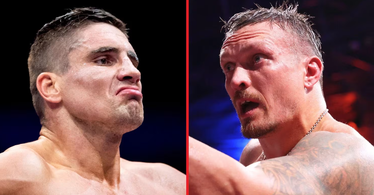 Usyk vs Verhoeven boxer info - Fight details, stats & predictions 2026