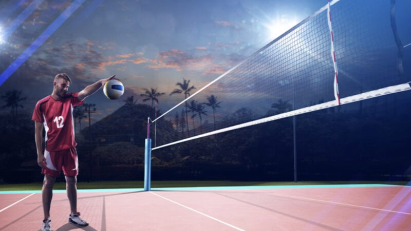Online volleyball betting - place a winning bet at Betwhale bookmaker 2