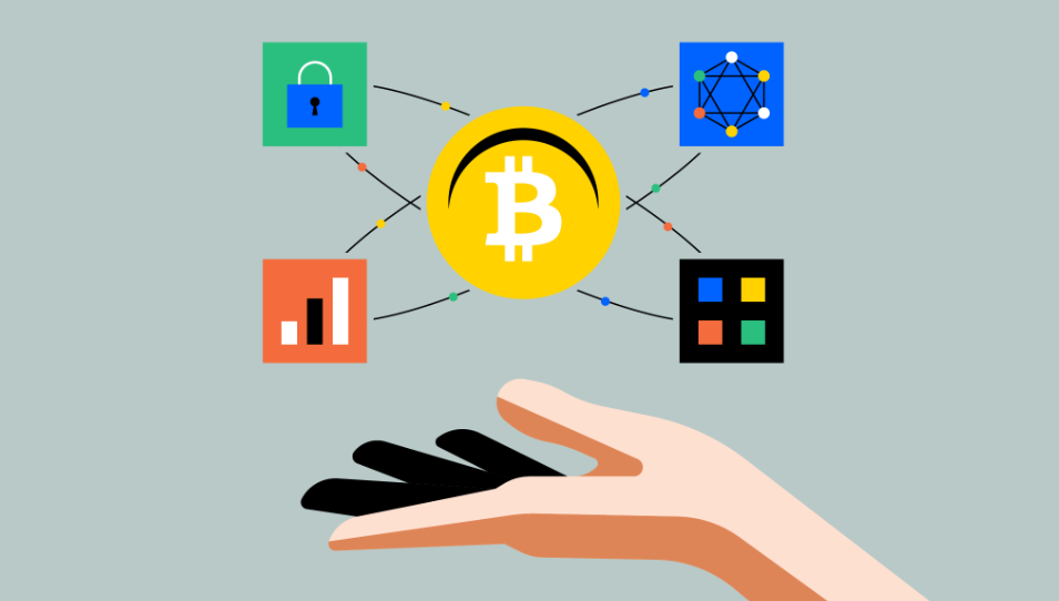 Bitcoin Payments at BetWhale – Fast, Secure and Borderless