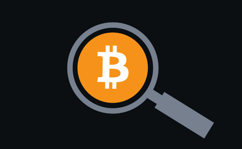 Bitcoin Payments at BetWhale – Fast, Secure and Borderless 2